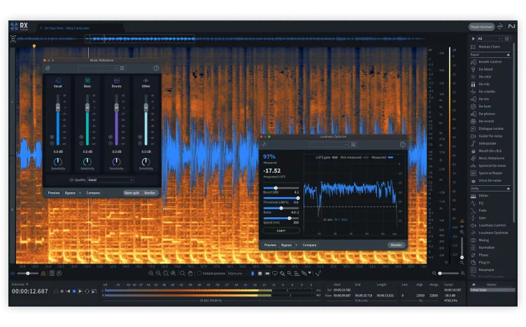 iZotope RX 11 Standard