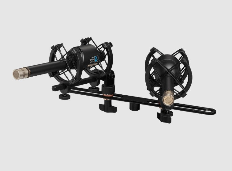 sE Electronics RN17 - Small Diaphragm Microphone with Changeable Capsule