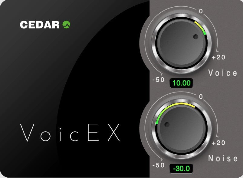 Cedar Audio VoicEX - Voice Extractor
