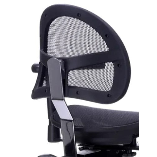 ErgoLab 5500-12 - Executive Replacement Backrest