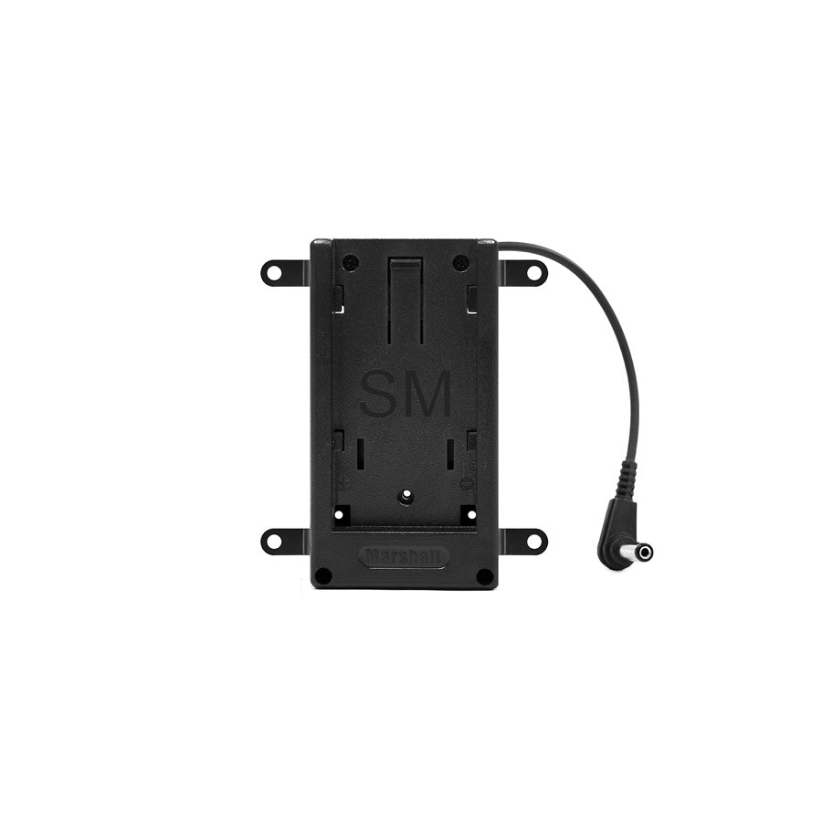Marshall 7-NP-QM91-SM - Sony NP-QM91 Battery Assembly