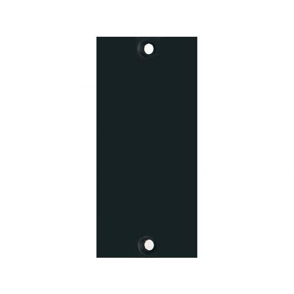 API Audio 2B1 - 200 Series, One Slot Blank Panel