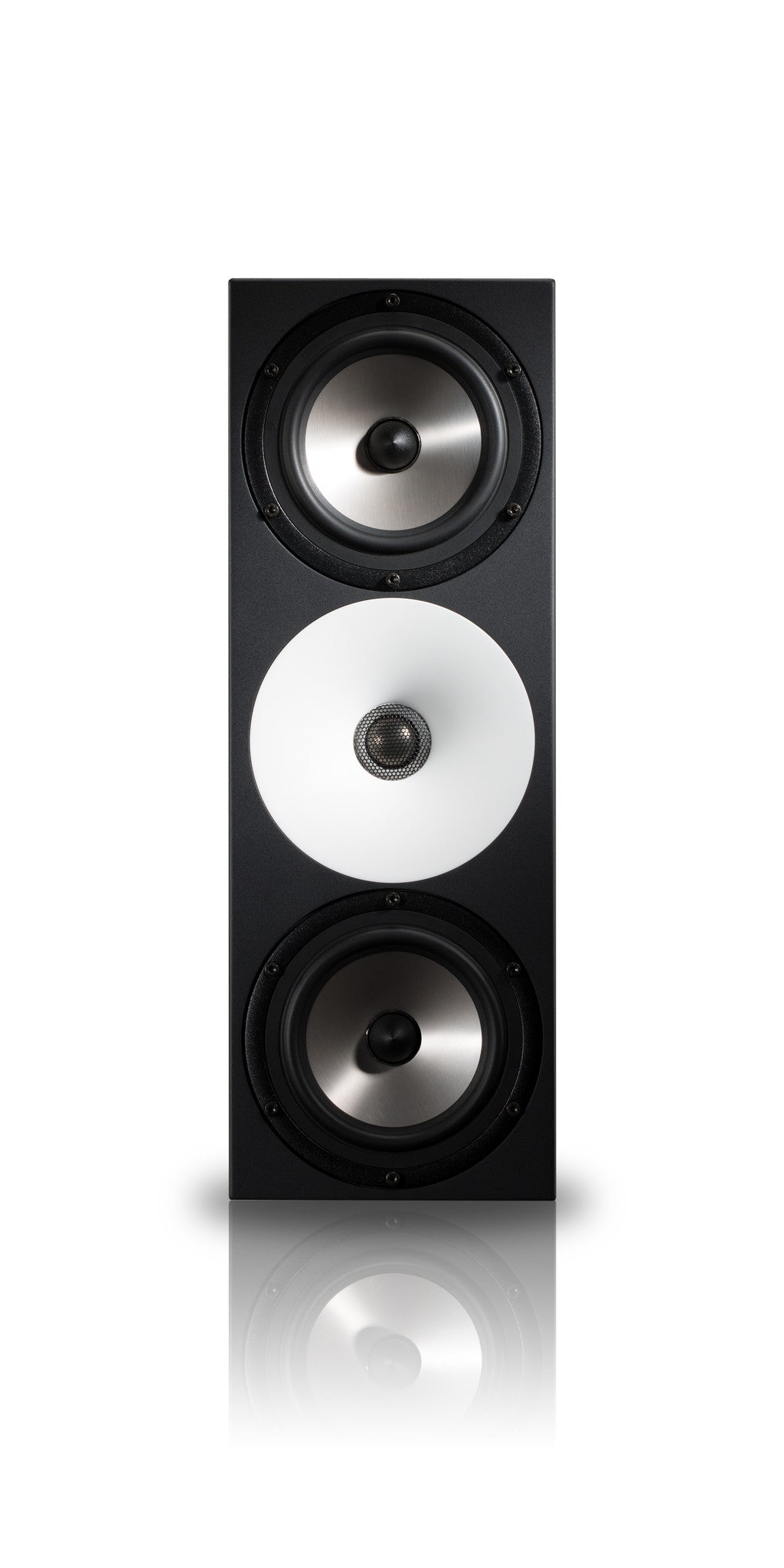 Monitor Systems - Amphion - Amphion Two15 - Professional Audio Design, Inc