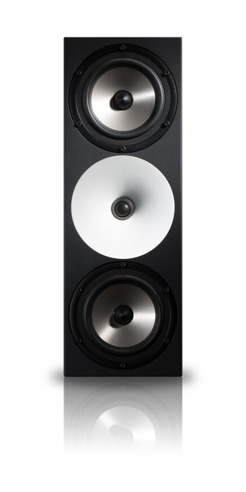Monitor Systems - Amphion - Amphion Two18 - Professional Audio Design, Inc