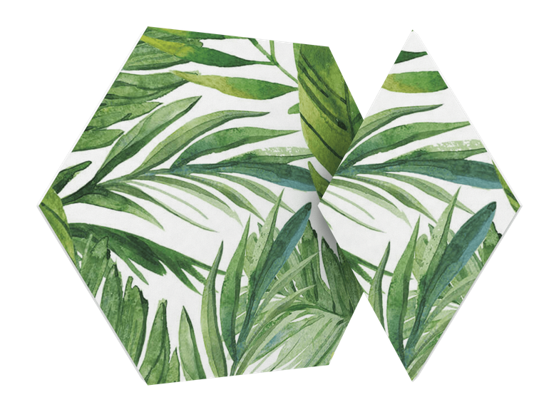 Vicoustic Vixagon VMT