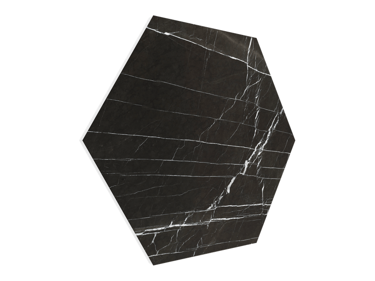 Vicoustic Vixagon VMT