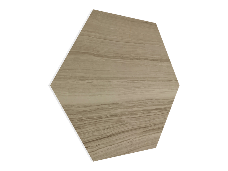 Vicoustic Vixagon VMT