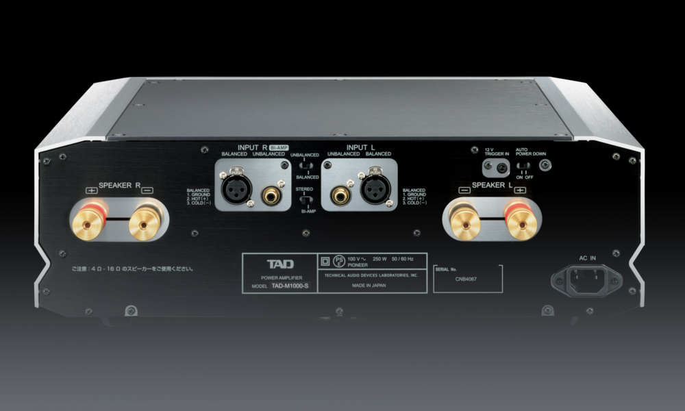 TAD M1000K/S - Evolution Power Amplifier