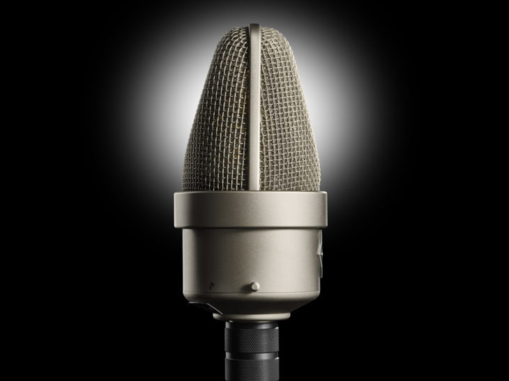 Neumann M 49 V Set - Remote Switchable Studio Tube Microphone