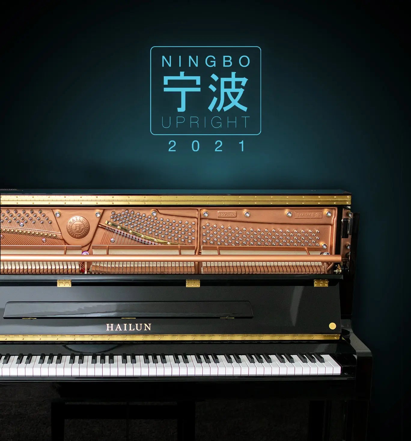 Boz Digital Labs Ningbo Upright 2021 Lite