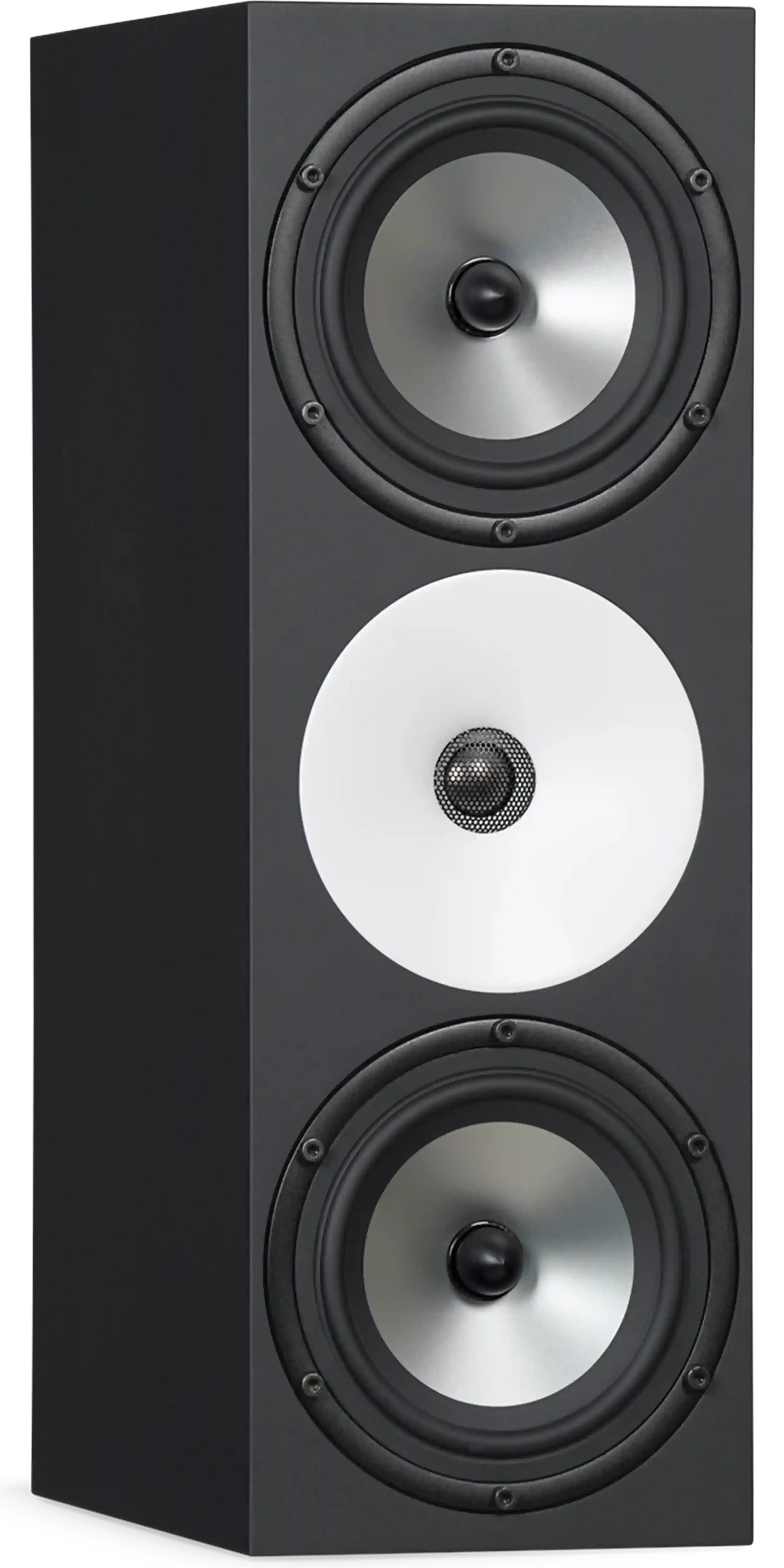 Amphion Two18X (Price Per Speaker)