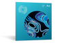 iZotope Ozone 11 Standard