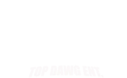 TDE Logo