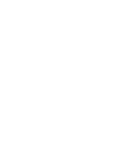 Trinnov Breakout Mic Cable