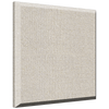 Auralex B222 Pro Panels - 2'x2'x2
