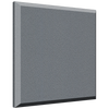 Auralex B222 Pro Panels - 2'x2'x2