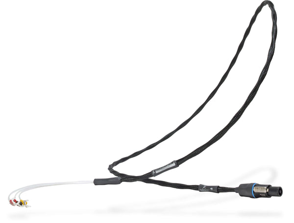 Synergistic Research Atmosphere X Rel Spec Subwoofer