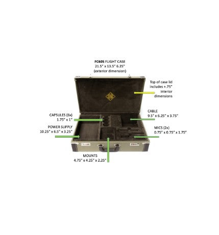 Telefunken FC60S - Dual Microphone System Flight Case (ELA M 260 Stereo Set)