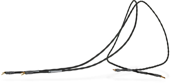 Synergistic Research Foundation Speaker Cable