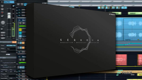Magix Sequoia 15