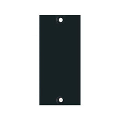 API Audio 2B1 - 200 Series, One Slot Blank Panel