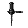 Audio Technica AT2050 - Multi-pattern Condenser Mic