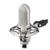 Audio Technica AT4080 - Bidirectional Ribbon Mic