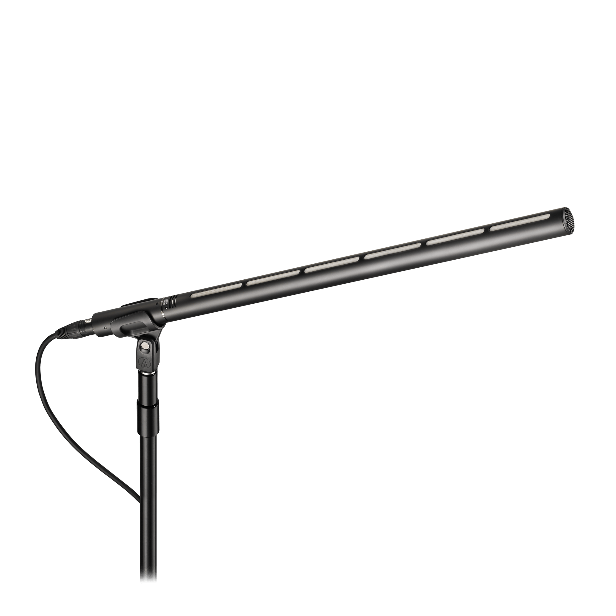 Audio Technica BP28L - Line + Gradient Microphone