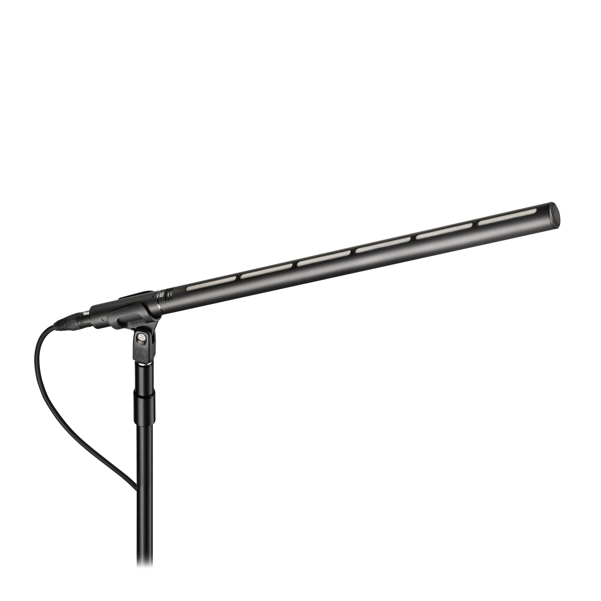 BP28L - Line + Gradient Microphone - Professional Audio Design, Inc