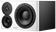 Dynaudio Acoustics LYD-48