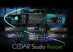 Cedar Audio Restore for Pyramix 64