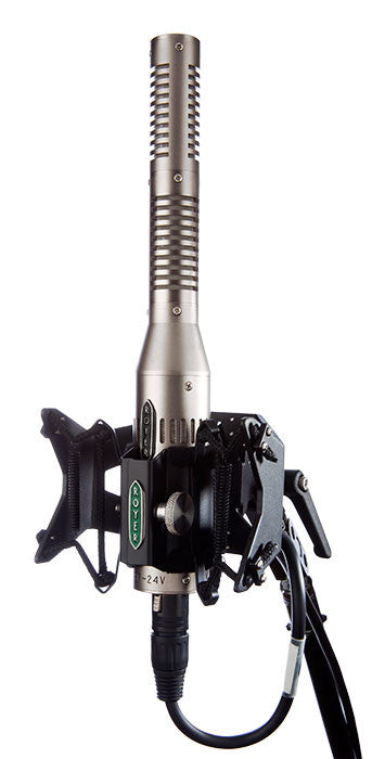 Recording Equipment - Royer Labs - Royer Labs SF-24V - Professional Audio Design, Inc